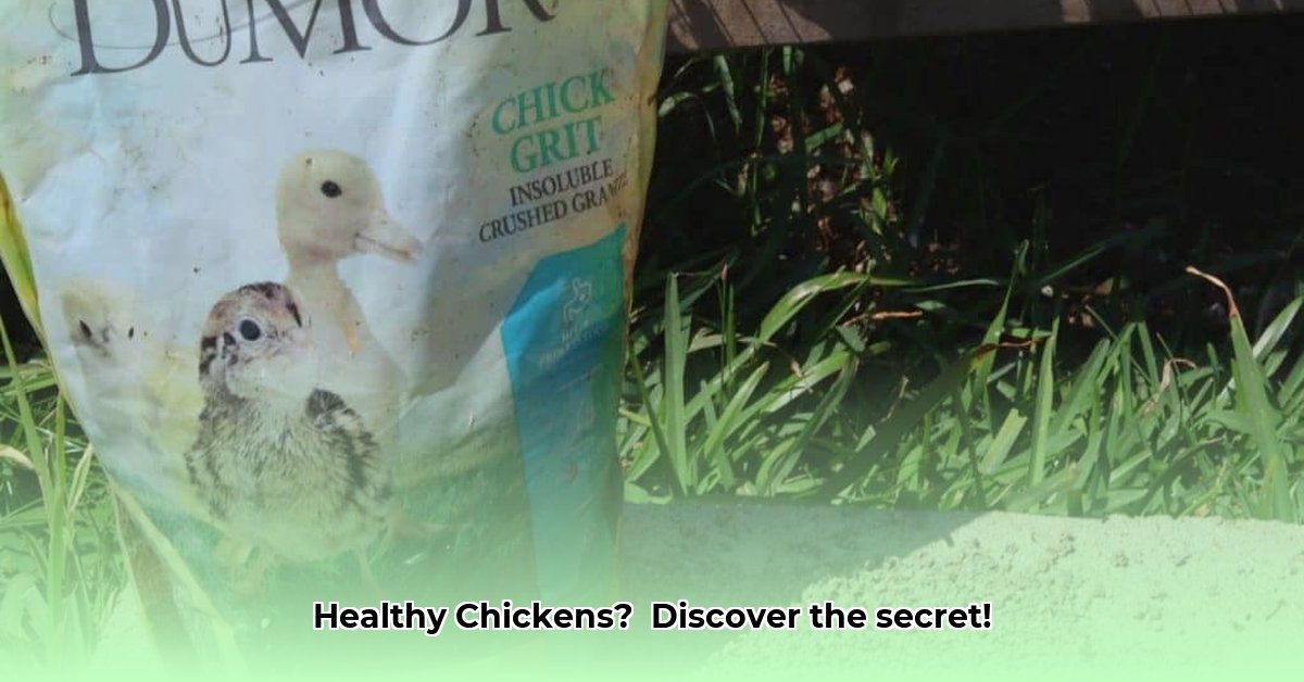 tractor-supply-chick-grit